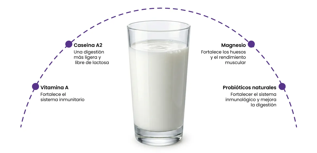Batido Energético de Leche de Cabra